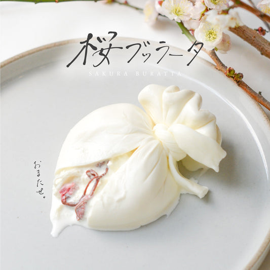 【まもなく終売】桜ブッラータ