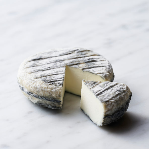 山羊やなぎ （GOAT CHEESE）