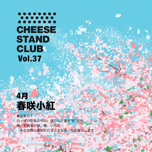 4月お届け｜CHEESE STAND CLUB　