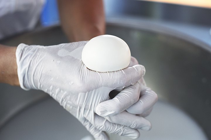 Make Mozzarella｜CHEESE STAND | CHEESE STAND（チーズスタンド）