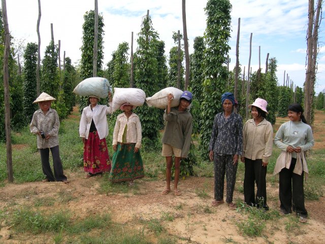 ブラックペッパー｜KURATA PEPPER | CHEESE STAND（チーズスタンド）